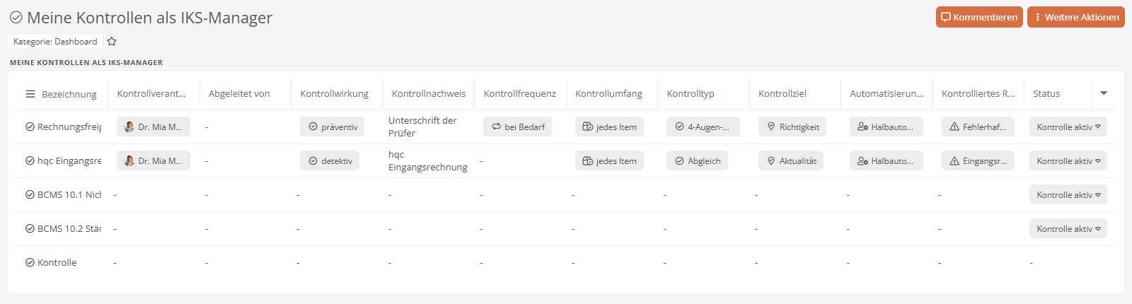 Meine Kontrollen als IKS-Manager